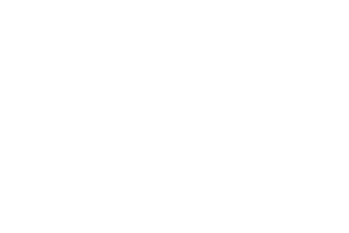 Vivo-1